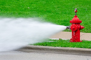 FIRE HYDRANTS